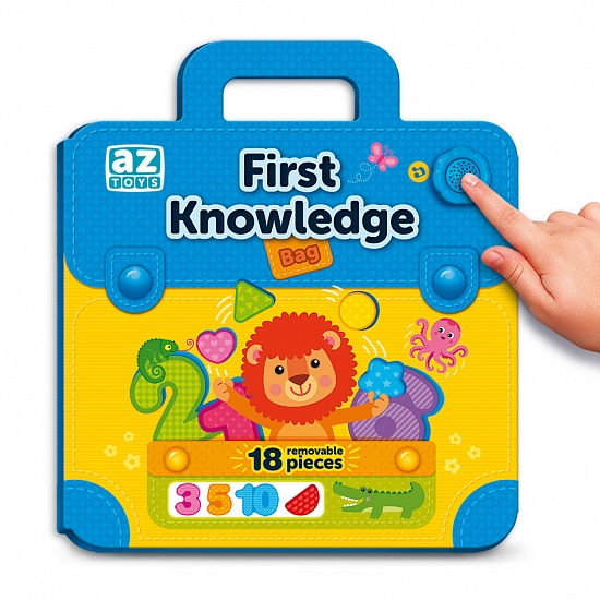 First Knowledge Bag